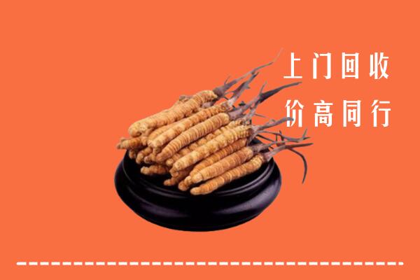 高价求购：郴州回收散虫草