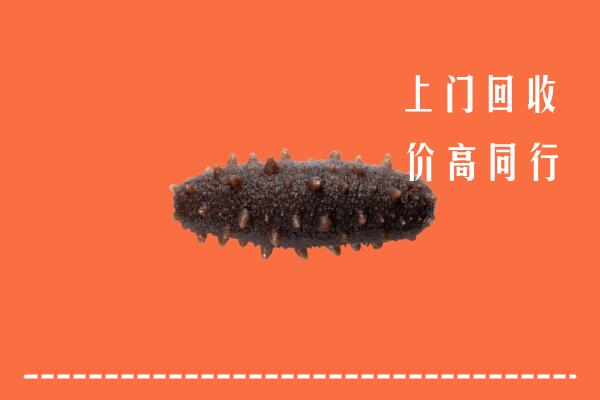 高价求购：郴州回收海参